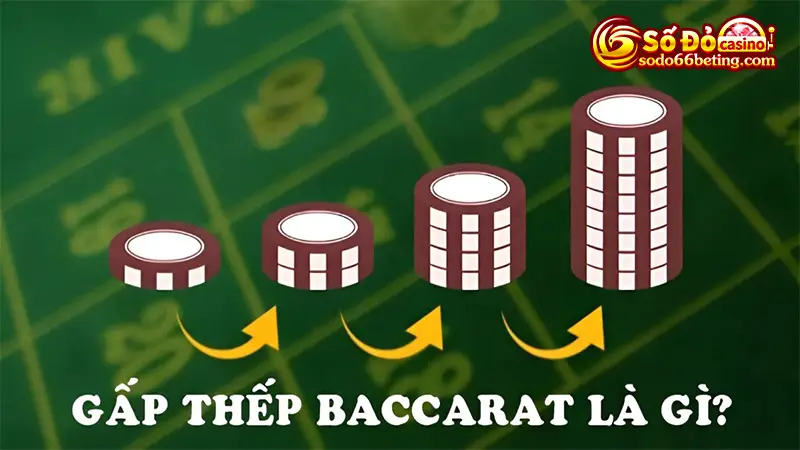 Gấp thếp đánh Baccarat online - Chiến thuật “quốc dân” ai cũng nên biết