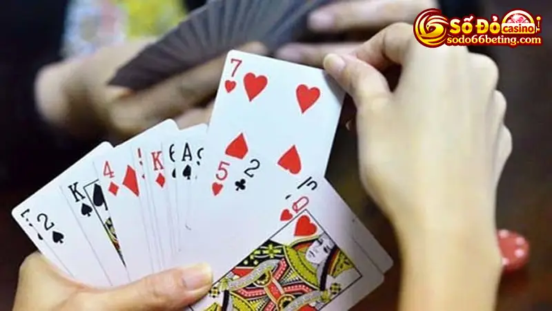 Mỗi ván Tiến lên là một cuộc đấu trí đầy thú vị